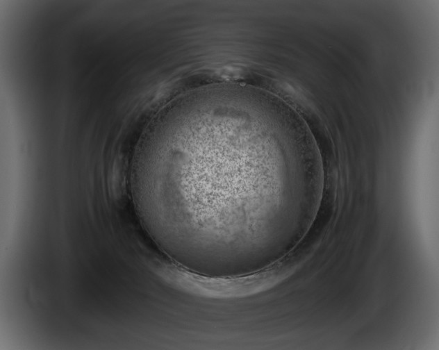 X0000085830030200703231430