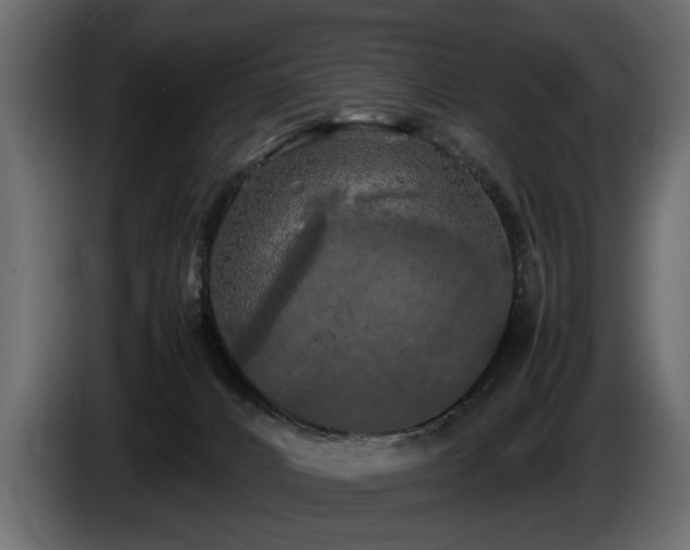 X0000085830032200703231430