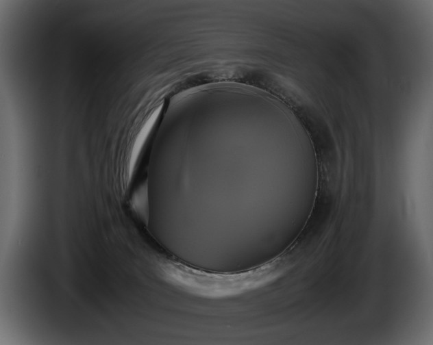 X0000085830035200703231430