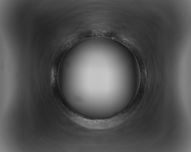 X0000085830038200703231430