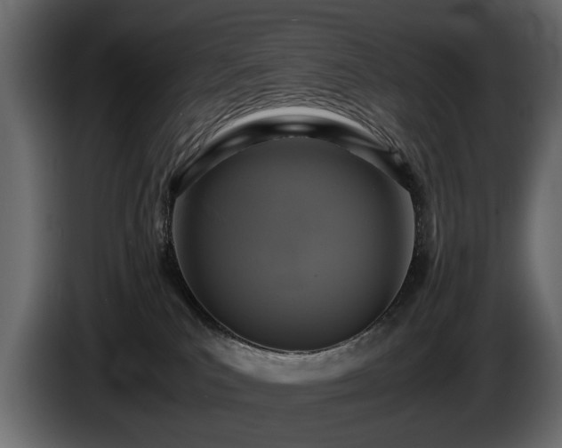 X0000085830039200703231430