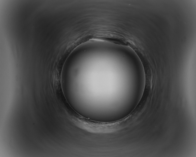 X0000085830040200703231430