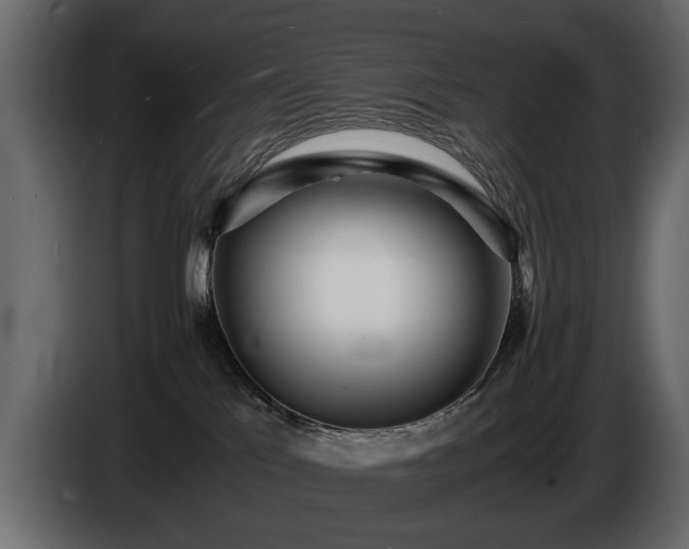 X0000085830041200703231430