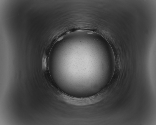 X0000085830042200703231430