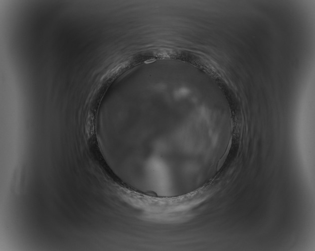 X0000085830043200703231430