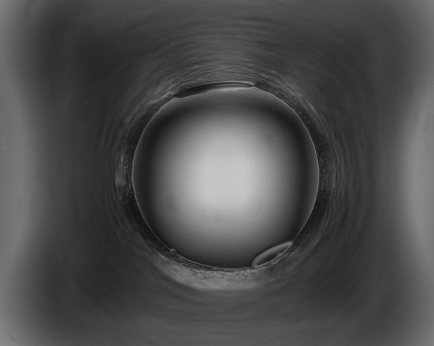 X0000085830044200703231430