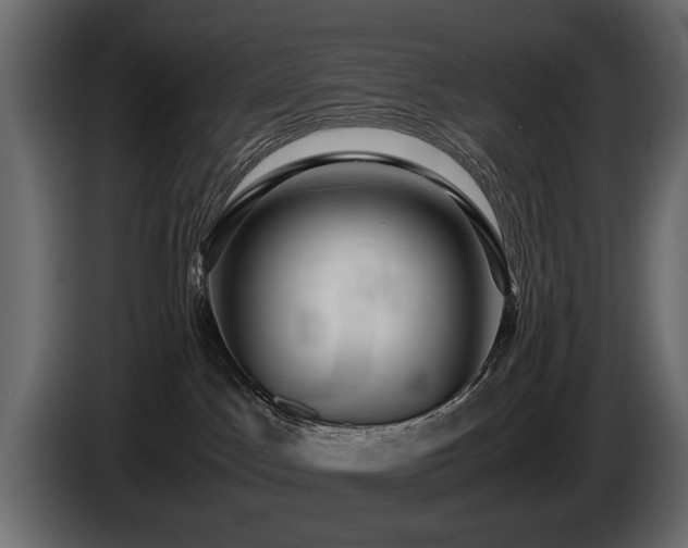 X0000085830045200703231430