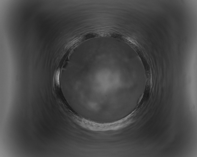 X0000085830047200703231430