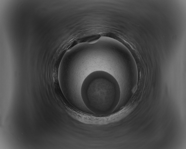 X0000085830048200703231430