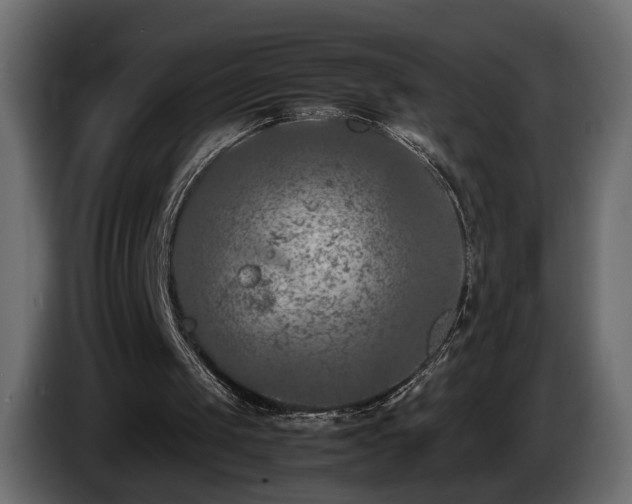 X0000085830049200703231429