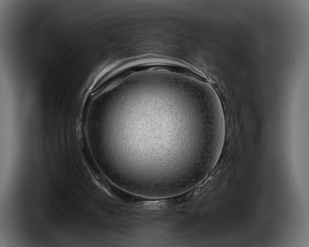 X0000085830050200703231429