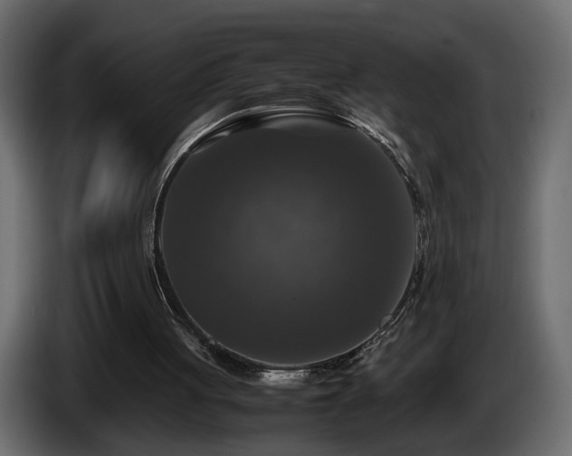 X0000085830051200703231429