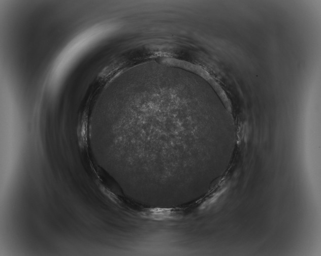 X0000085830052200703231429