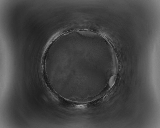 X0000085830053200703231429