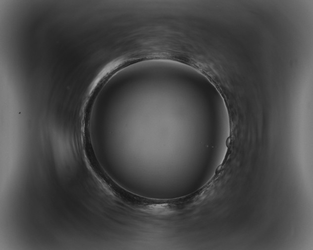 X0000085830054200703231429