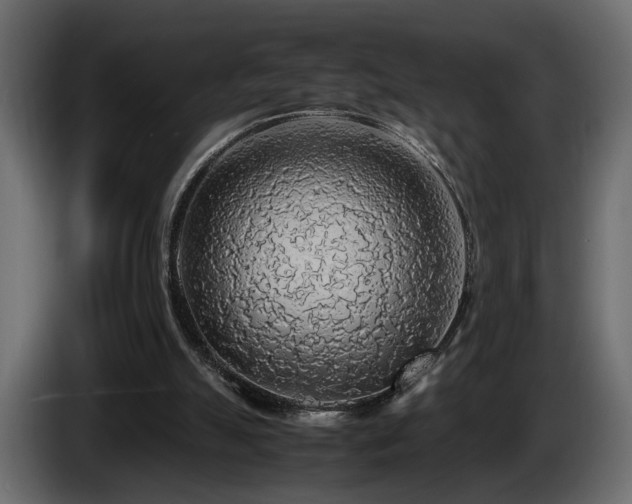 X0000085830055200703231429