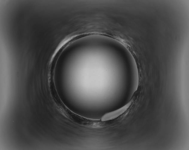 X0000085830056200703231429