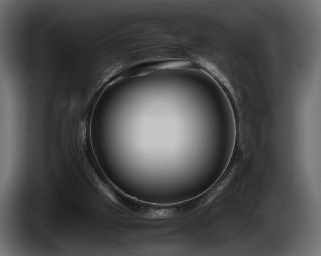 X0000085830057200703231429