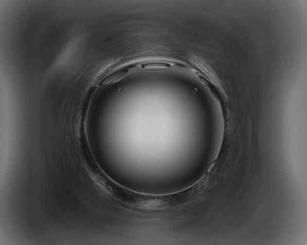 X0000085830058200703231429