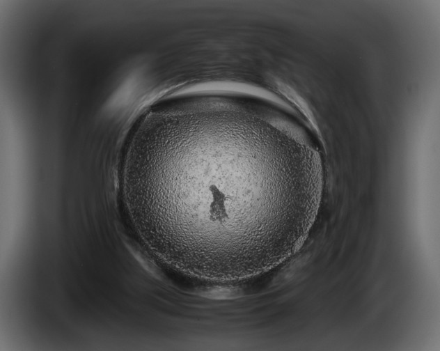 X0000085830059200703231429