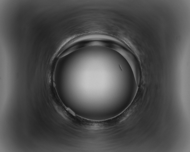 X0000085830060200703231429