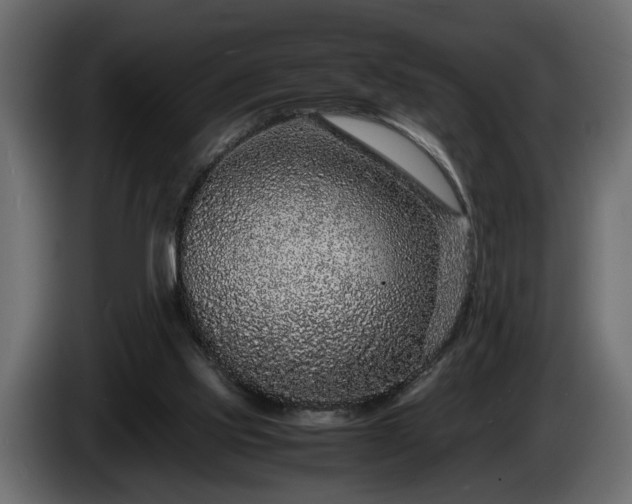 X0000085830061200703231429