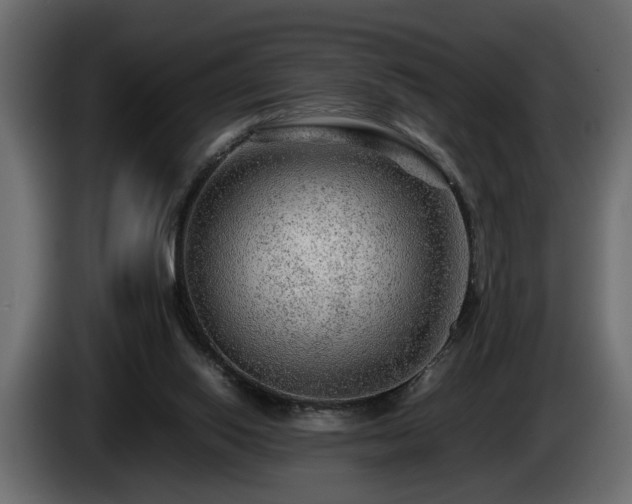 X0000085830062200703231429