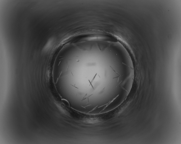 X0000085830063200703231429