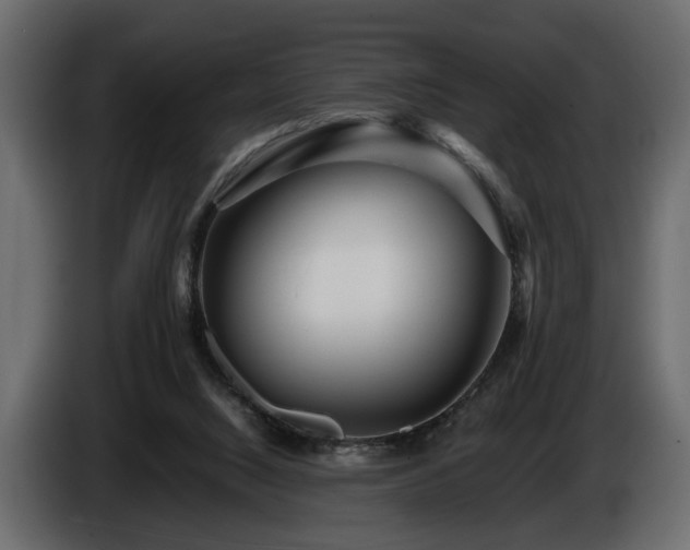 X0000085830064200703231429