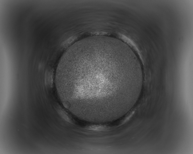 X0000085830065200703231429