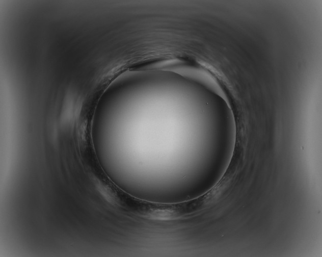 X0000085830066200703231429