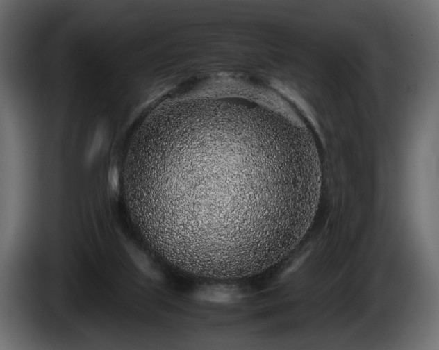 X0000085830067200703231429