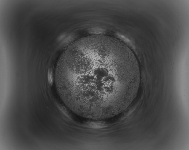 X0000085830069200703231429