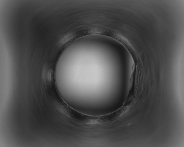 X0000085830071200703231429