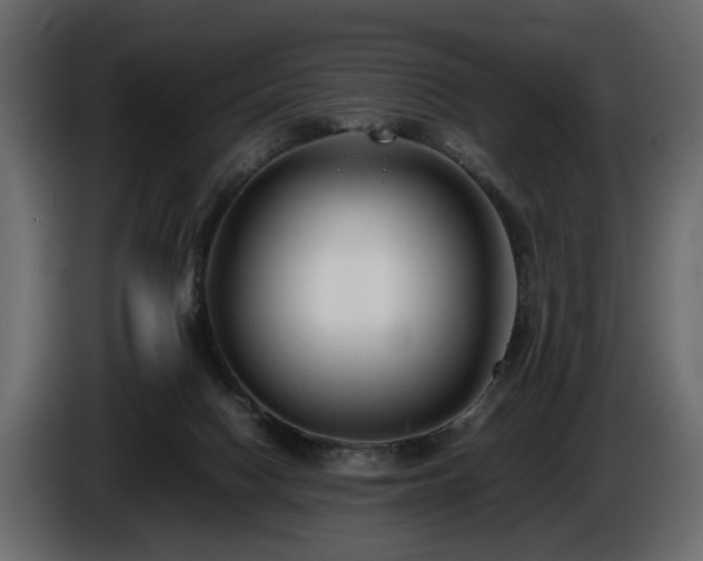 X0000085830074200703231429