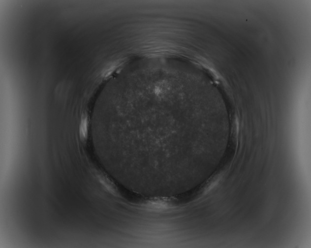 X0000085830076200703231430