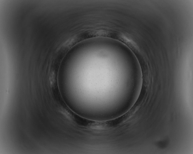 X0000085830077200703231430