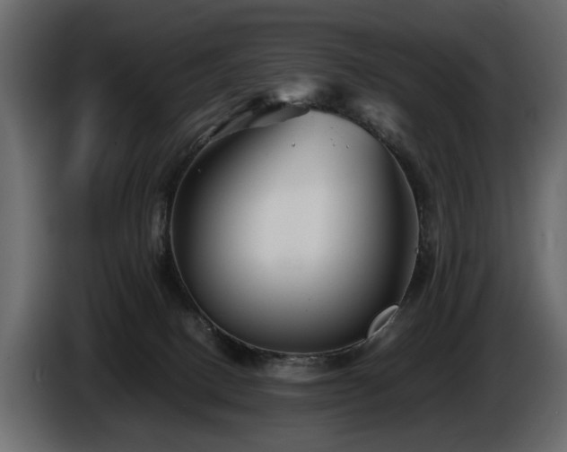 X0000085830082200703231430