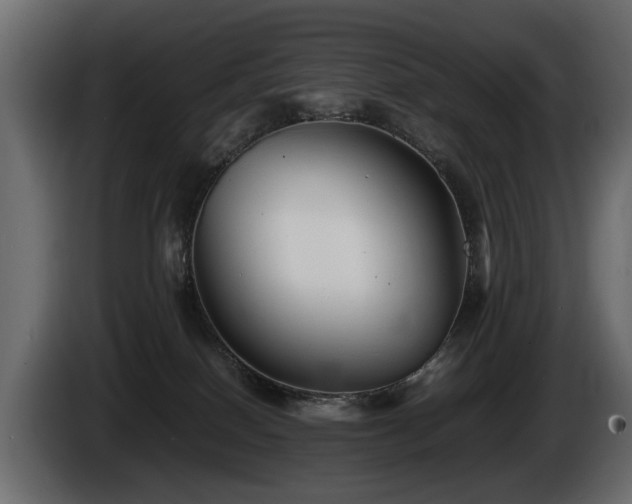 X0000085830086200703231430