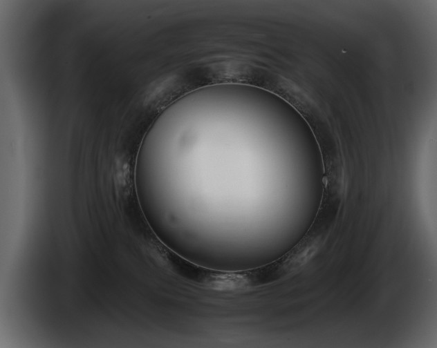 X0000085830087200703231430