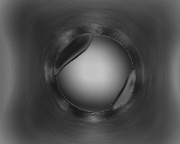 X0000085830088200703231430