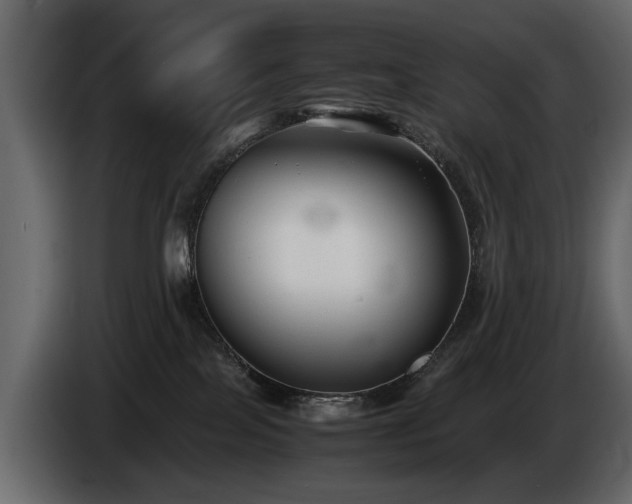 X0000085830089200703231430