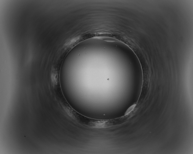 X0000085830090200703231430