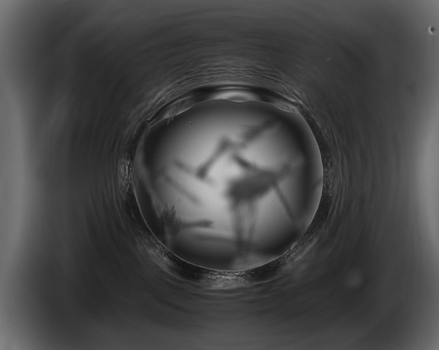 X0000085830093200703231430
