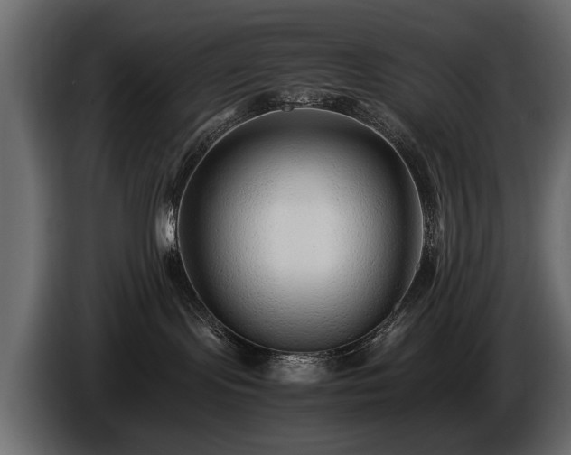 X0000085830095200703231430