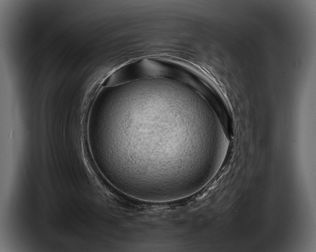 X0000085830097200703231429