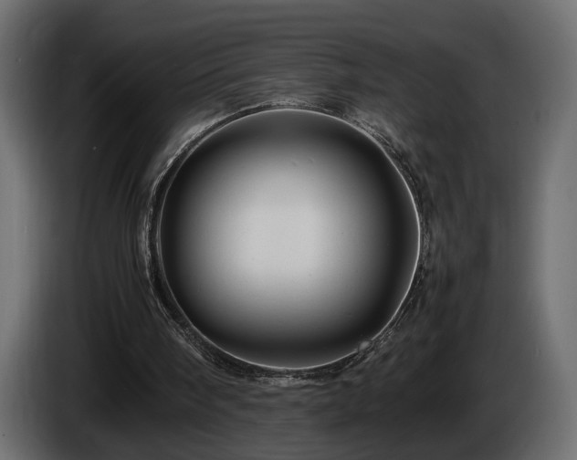 X0000085830098200703231429