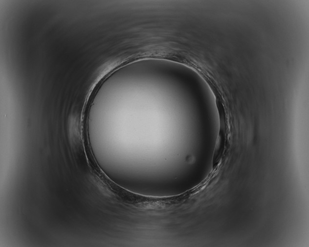 X0000085830100200703231429