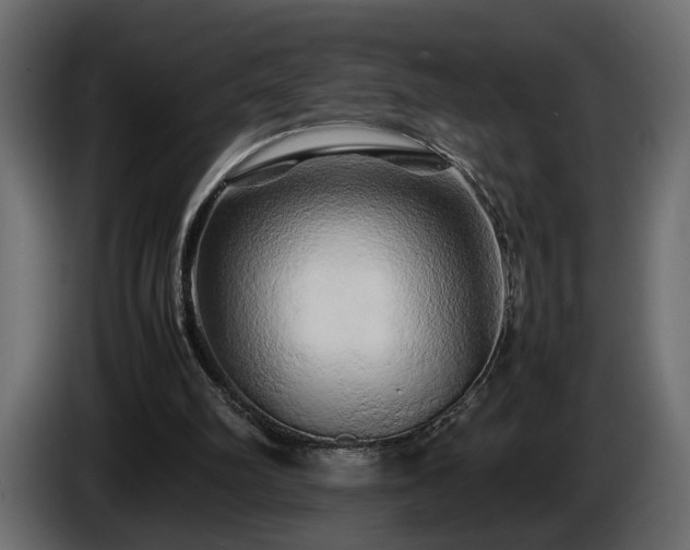 X0000085830102200703231429