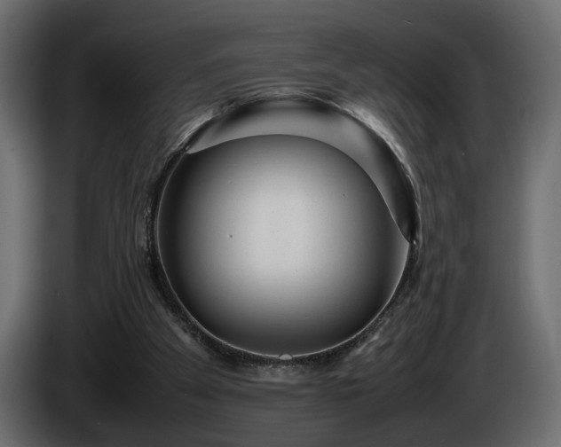 X0000085830105200703231429